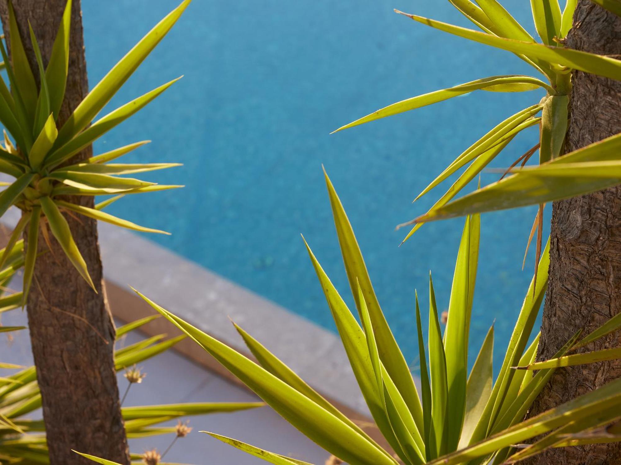 The Roc Club, A Grecotel To Live Hotel 5*